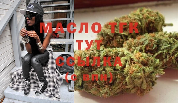 индика Заволжье