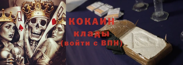индика Заволжье