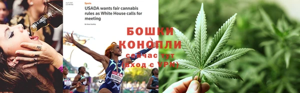 индика Заволжье