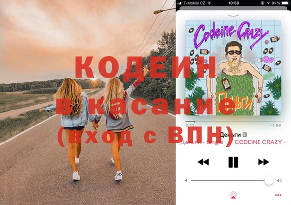 индика Заволжье