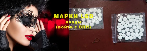 индика Заволжье