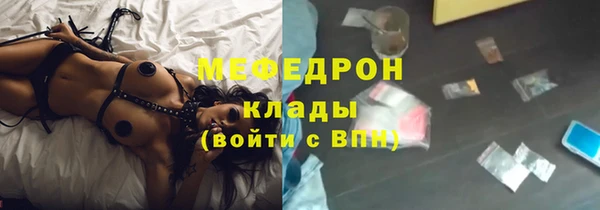 индика Заволжье