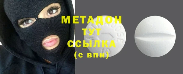 сатива Ельня