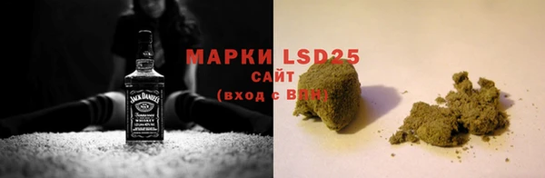 индика Заволжье