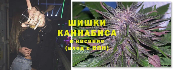 индика Заволжье
