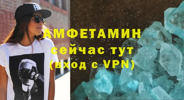 индика Заволжье