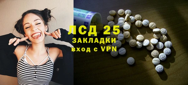 индика Заволжье