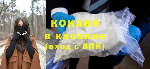 индика Заволжье