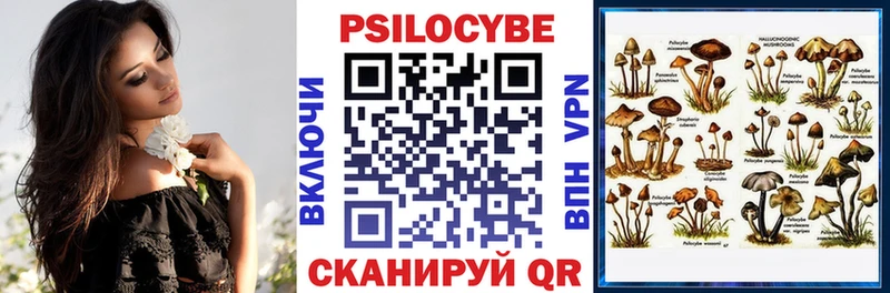 Галлюциногенные грибы Magic Shrooms  Купить  Петровск-Забайкальский 